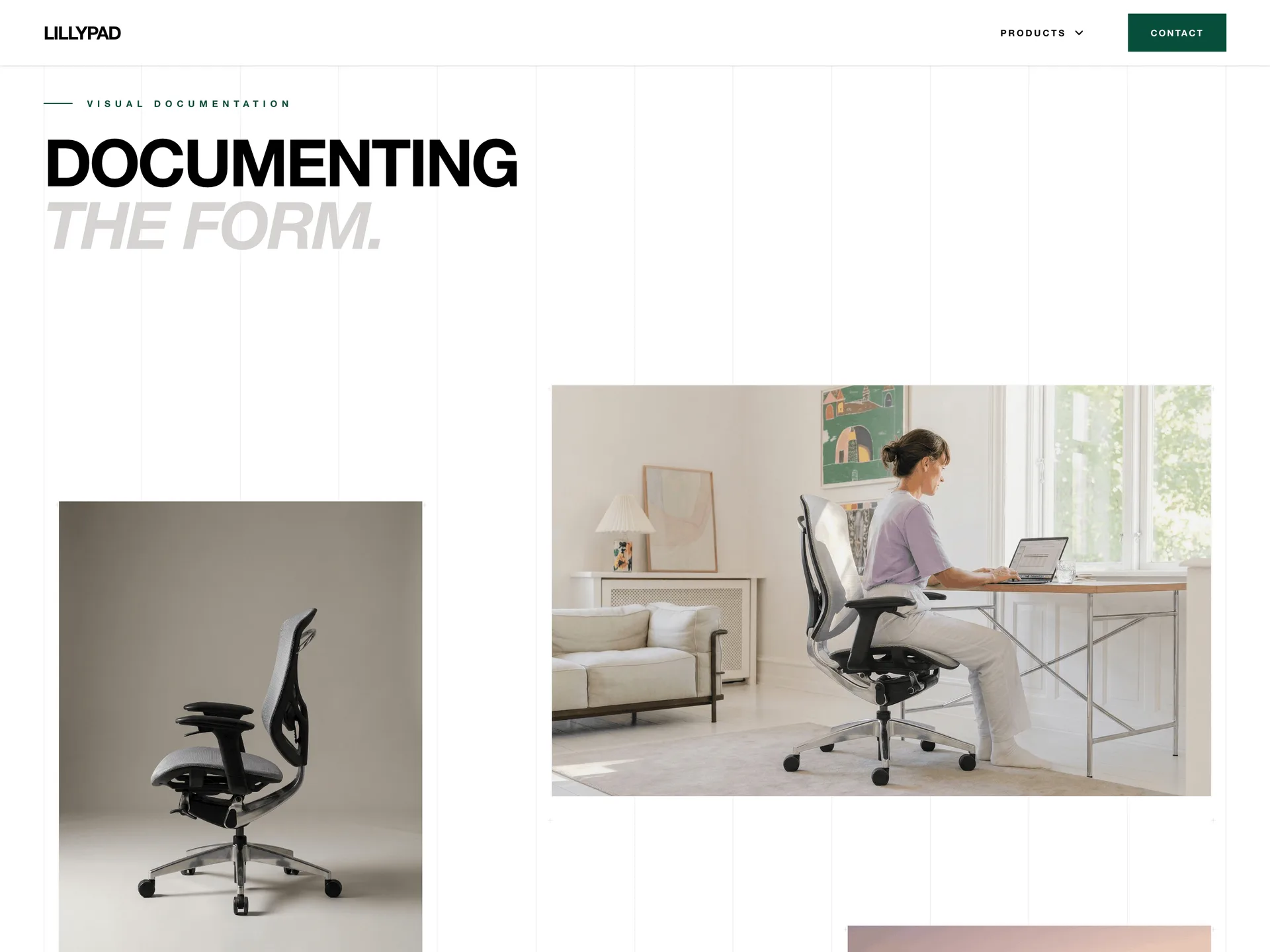 LillyPad Ergonomics screenshot 2